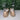 JOURNEE COLLECTION Womens Taupe Moccasin Thatch Round Toe Size 7 - Like New - Ufashion