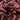 NWD Taylor Womens Burnout Abstract Print Shift Dress Burgundy Size 6 - Like New - Ufashion