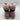 Splendid EVITA Pink Suede/Faux Fur Lined Lace Up Hiker Boots, Size 8M - Very Good - Ufashion