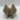 Vince Camuto Women's Hailenda Beige Size 8M - Very Good - Ufashion