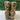 Sam Edelman Hilty New Nude Baby Leopard Brahma Hair Size 5M - Like New - Ufashion