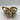 Women’s Cult Gaia Valence Sandals Gold Size 35.5 - Very Good - Ufashion