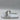 Gucci Pursuit White Cat Kitty Leather Pool Slide Sandals Size 36 - Very Good - Ufashion