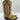 Dan Post Women's Eel Exotic Western Boots Tan/Gold Size 6.5M - Very Good - Ufashion