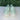 NWOB Girl’s Sperry Salty Washable Moccasin, Mint Size 5M - Ufashion
