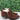 Frye Women's Sacha Moto Shootie Boot, Brown, 7 M - Ufashion