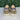 NWOB Rothy’s Leopard Print Knit Round Toe Slip On Low Top Sneakers Women’s 5.5 - Ufashion