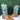 NWB Circle G Women Honey/Turquoise Inlay Embroidery Size 8 M - Ufashion