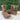 Chaco Women's Hopi Hiking Boot, fawn, Size 6 M - Ufashion