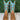 NWOB Circle G Women’s Honey/Turquoise Inlay & Embroidery Wide Square Toe Size 7M - Like New - Ufashion