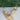 Journee Collection Womens Brinney Ballet Pointed Toe Pull On Flats Beige Size 9 - Like New - Ufashion