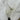 The North Face Women’s Osito ¼-Zip Pullover White Size XS - Ufashion