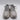 Blowfish Malibu Women's Leo Platform Lug Wedge Sneaker Grey Size 7 - Ufashion