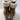 Sugar RORY Brown Faux Leather Lace Up/Side Zip Fur Trim Block Heel Boots Size 7M - Ufashion