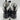 Cavalli Snakeskin Embossed Trim Leather High Top Sneakers Black/White Size 36 - Very Good - Ufashion