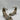 Girl’s Kelly & Katie Caital Sandal LT Gold Size 6M - Very Good - Ufashion