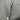 NWD Bar Ws Men’s Cheyenne 205 Wool Blend Sport Coat, Black Size 41R - Like New - Ufashion