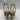 Women’s STEVEN BY STEVE MADDEN Jaimeh Tubular Strap Sandals Gold Size 6.5 - Ufashion