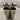 NWB Söfft SOLANI Sand Leather Ankle Strap Espadrille Sandals Women’s Size 9.5 M - Ufashion