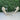 NWOB Paradox London Pink Women's Elodie Heeled Sandals Ivory Size 10M - Like New - Ufashion