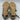Nina Genaya Gold Synthetic Open Toe Strappy Dress Sandals, Size 6.5M - Very Good - Ufashion