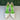 Preowned Women’s Mix No. 6 Dawnira Pump White/Green Size 8M - Very Good - Ufashion