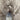 Corral Brown/Blue Caiman Overlay & Embroidery Square Toe Western Boots 8.5D - Very Good - Ufashion