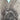 Corral Brown/Blue Caiman Overlay & Embroidery Square Toe Western Boots 9EE - Very Good - Ufashion