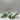 Bottega Veneta Women’s Lido Sandals Green Size 38.5 - Very Good - Ufashion