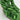 Women’s Bottega Veneta Stretch Mule Heeled Sandals Green Size 39 - Very Good - Ufashion