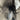Cody James Scratch Mexico Flag Lite Performance Square Toe Western Boots 11.5D - Very Good - Ufashion