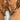 DAN POST MEN'S KA WESTERN BOOTS BROAD SQUARE TOE Brown Size 12D - Very Good - Ufashion