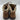 CAT Women's Tess Steel Toe Work Boots Brown Size 6.5W - Very Good - Ufashion