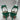 Women’s Aquazzura Green Satin Pump with Crystal Front Buckle Green Size 39.5 - Very Good - Ufashion
