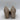 Marc Fisher Women’s Keri Pumps Light Natural Size. 7.5 M - Very Good - Ufashion