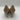 Karl Lagerfeld ROULLE Beige Leather Pointy Toe Slip On High Heels Women’s 10M/41 - Very Good - Ufashion