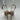 Gianvito Rossi Women's Ribbon D'Orsay Pumps Clear Size 37 - Very Good - Ufashion